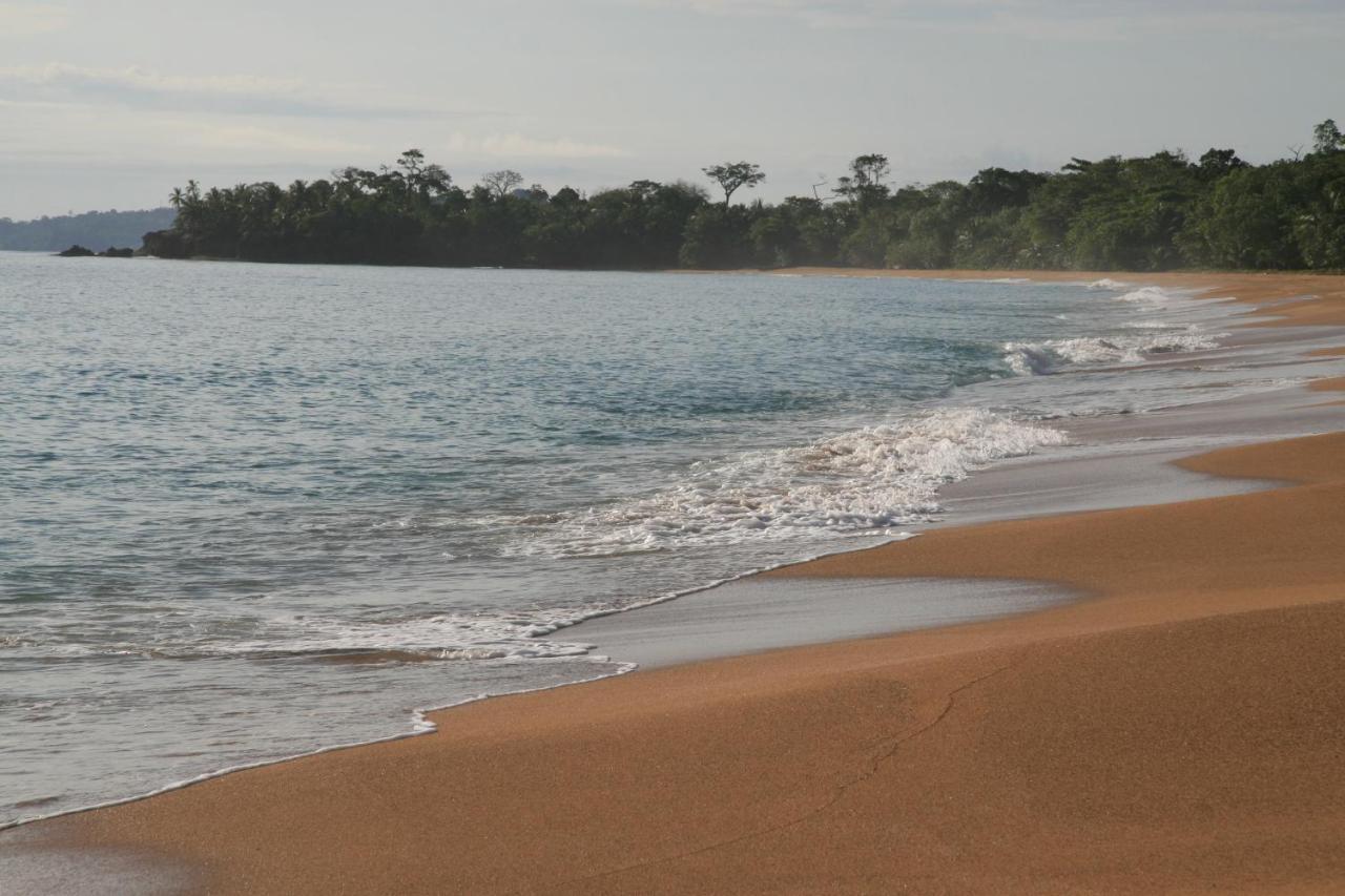 Bluff Beach Retreat Bocas del Toro Exterior foto