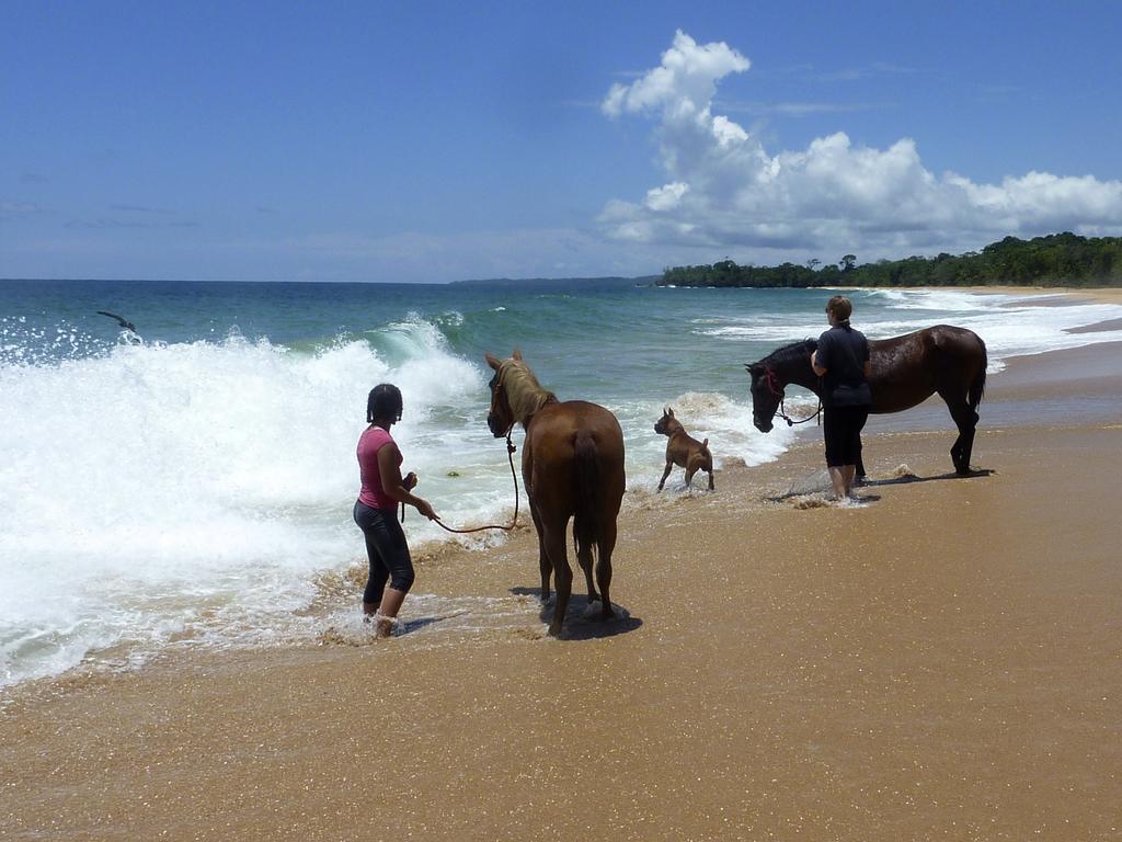 Bluff Beach Retreat Bocas del Toro Exterior foto