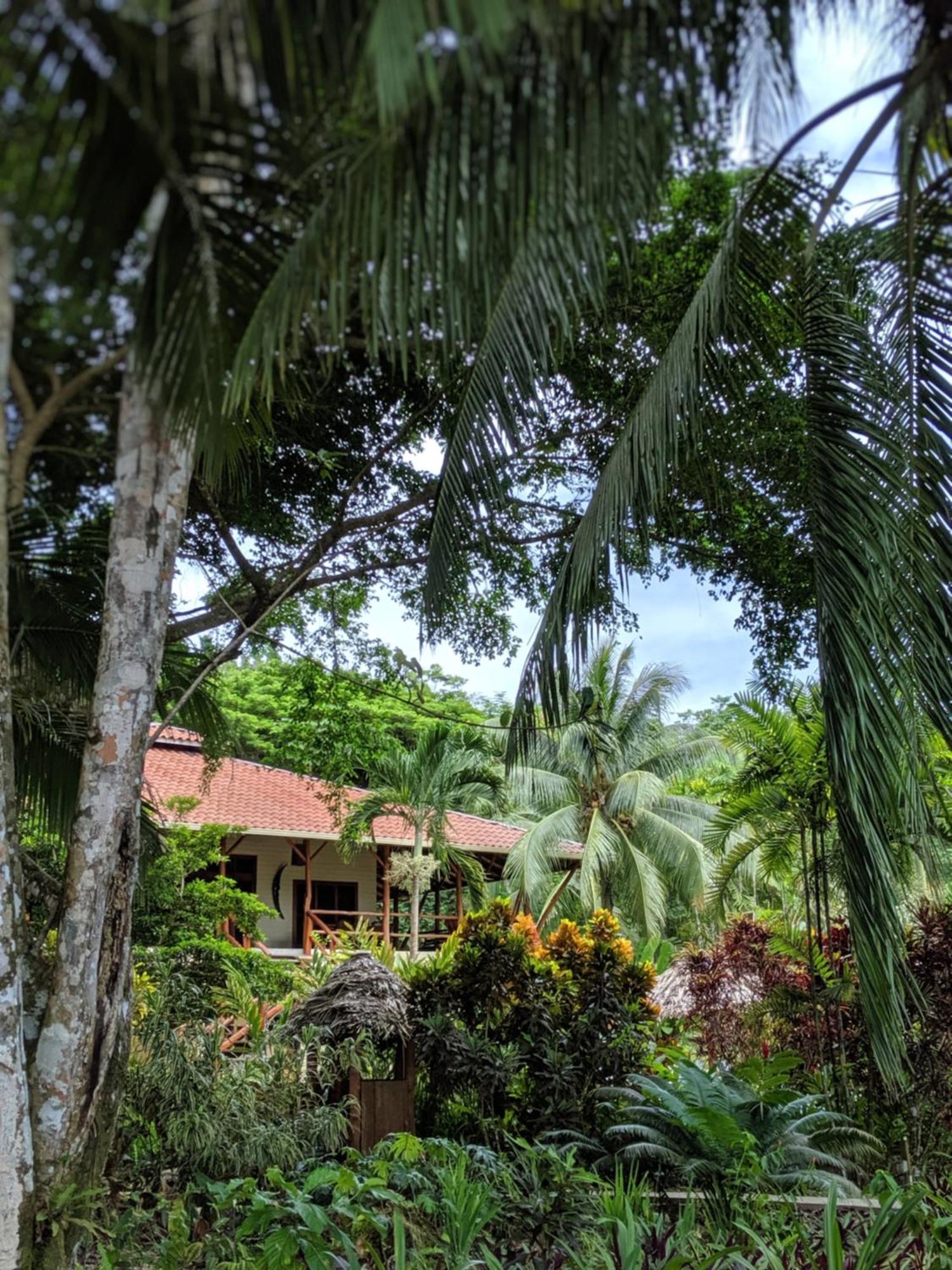 Bluff Beach Retreat Bocas del Toro Exterior foto