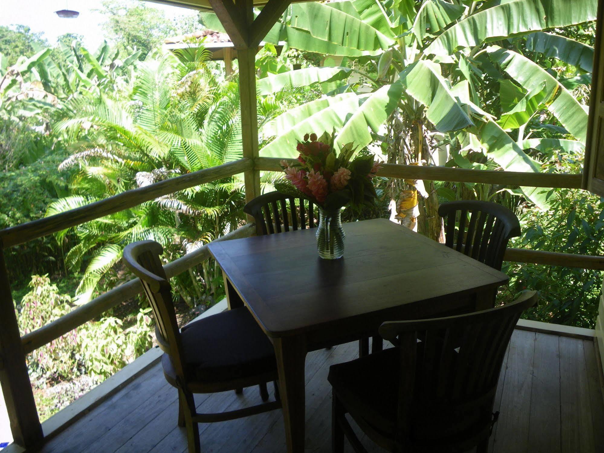Bluff Beach Retreat Bocas del Toro Exterior foto