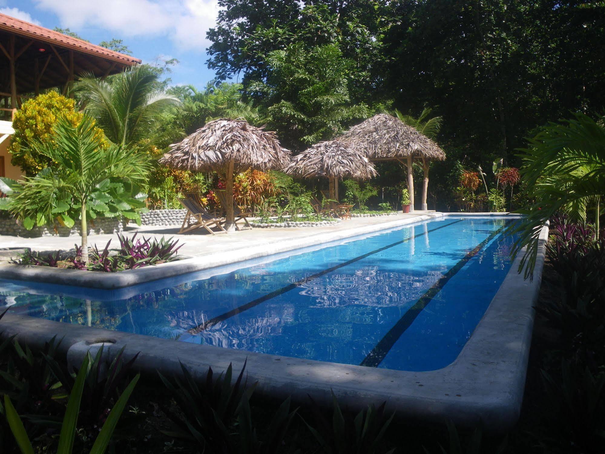 Bluff Beach Retreat Bocas del Toro Exterior foto